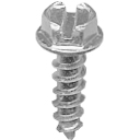 License Plate Screw 2846B