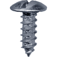 License Plate Screw 6035C