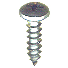 License Plate Screw 65000B