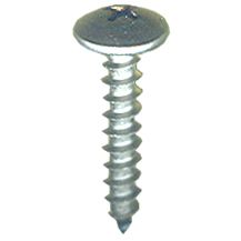 License Plate Screw 65003B