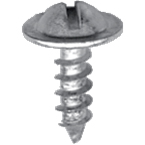 License Plate Screw 8774C