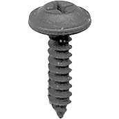 Phillips Washer Face Screw 900B