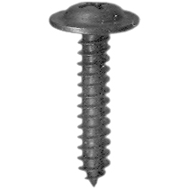 Phillips Washer Face Screw 901B