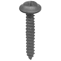 Phillips Washer Face Screw 962B