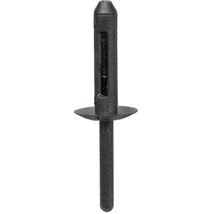 Plastic Rivet 59437Y