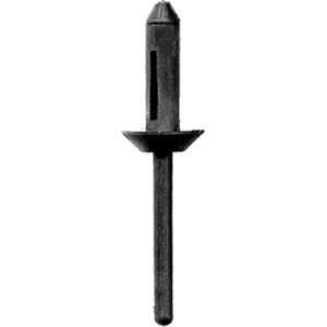 Plastic Rivet 6600A