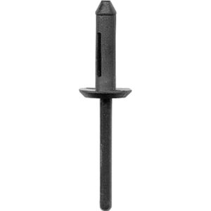 Plastic Rivet 6601A