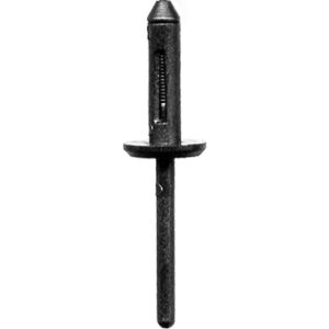 Plastic Rivet 6602A