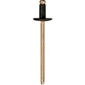 Rivets 60041Y