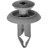 Screw Type Rivet 6647S